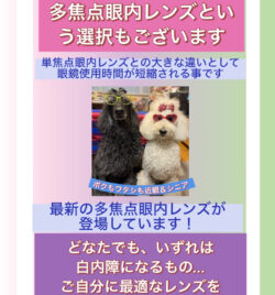 白内障多焦点眼内レンズ選択に朗報、新開発レンズが登場しています。