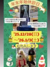 12/28㈰～令和7年1/3㈯まで年末年始の休診となります