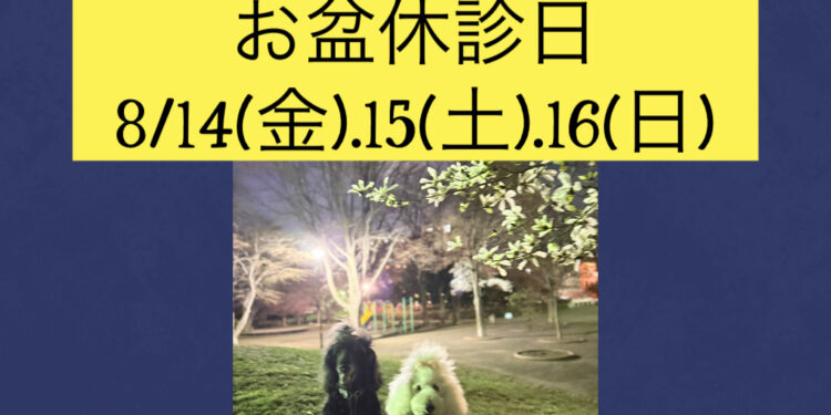 8/14㈮、15㈯、16㈰は、お盆休診日です