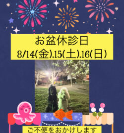 8/14㈮、15㈯、16㈰は、お盆休診日です